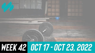 Daily Workouts W42