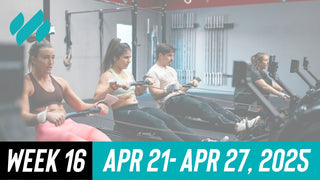 Daily Workouts W16