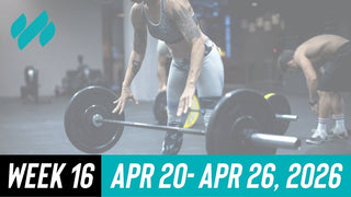 Daily Workouts W16