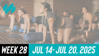 Daily Workouts W28