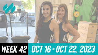 Daily Workouts W42