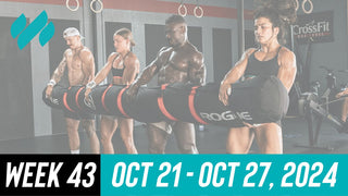 Daily Workouts W43