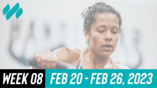 Daily Workouts W8