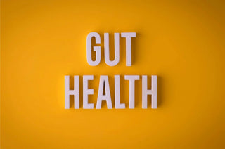 WHY YOUR GUT HEALTH MATTERS