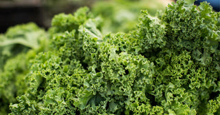 WHAT MAKES GOOD GREENS?